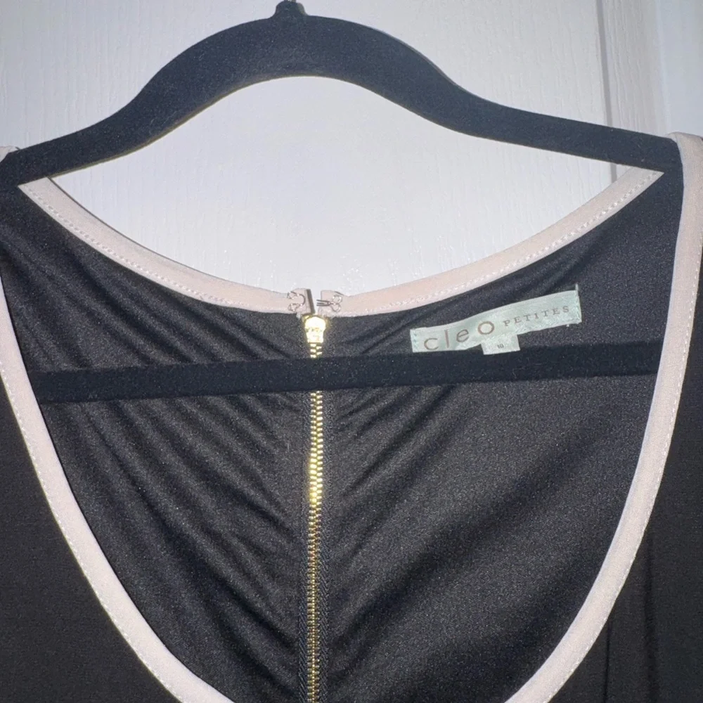 Cleo Black Dress with White Accents - Picture 4 of 4